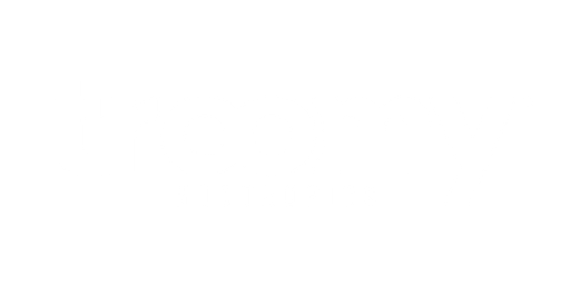Troomy logo